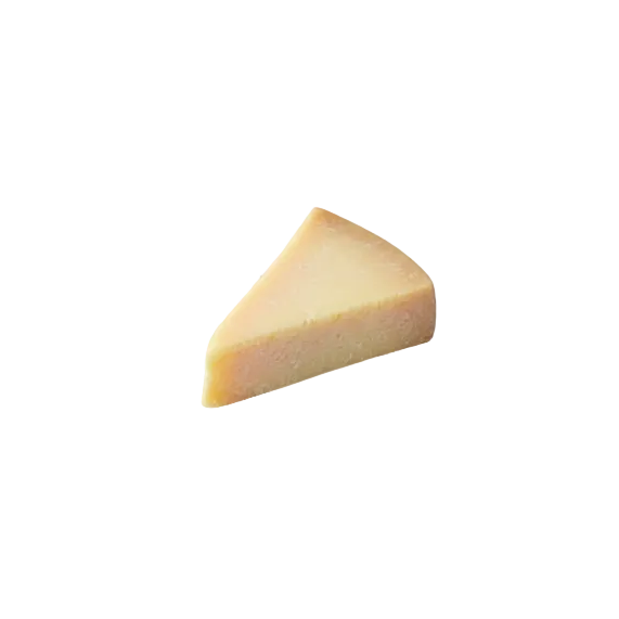 Parmesan 24 months 100g