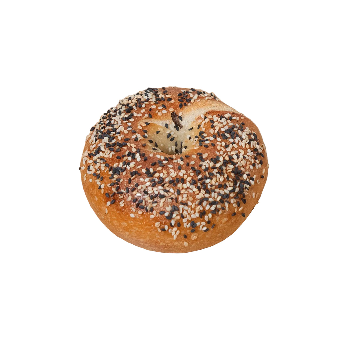 NY-Style Bagel Sesame